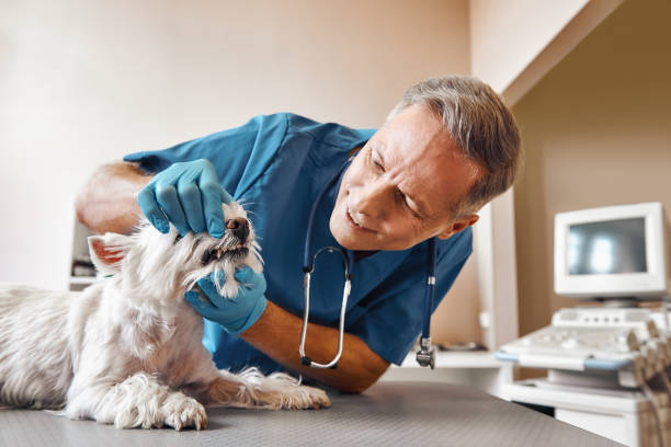Best Broken Tooth Emergency  in Landisville, PA